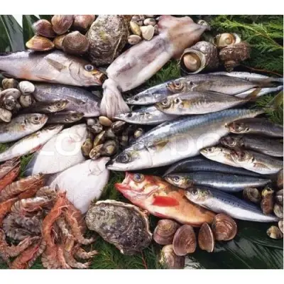 Fresh fish from the sea and fresh fish from freshwater rivers