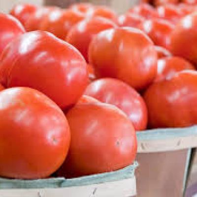 Tomatoes